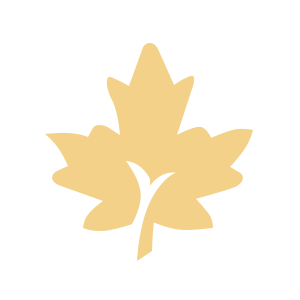 Fall
